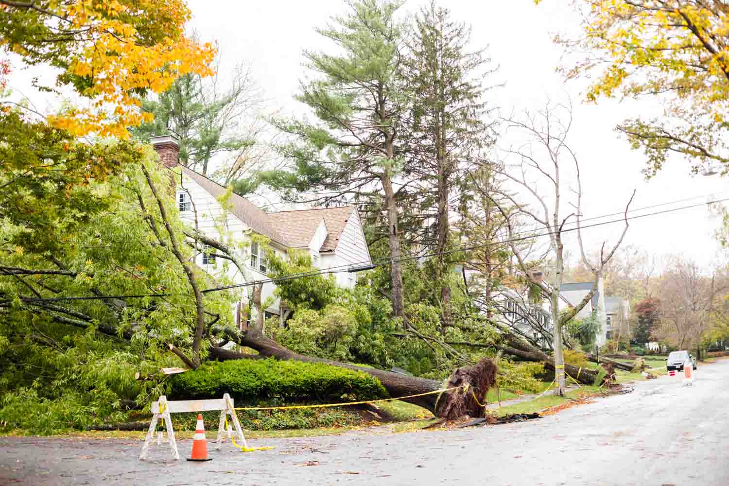 Storm Damage in Long Island, NY