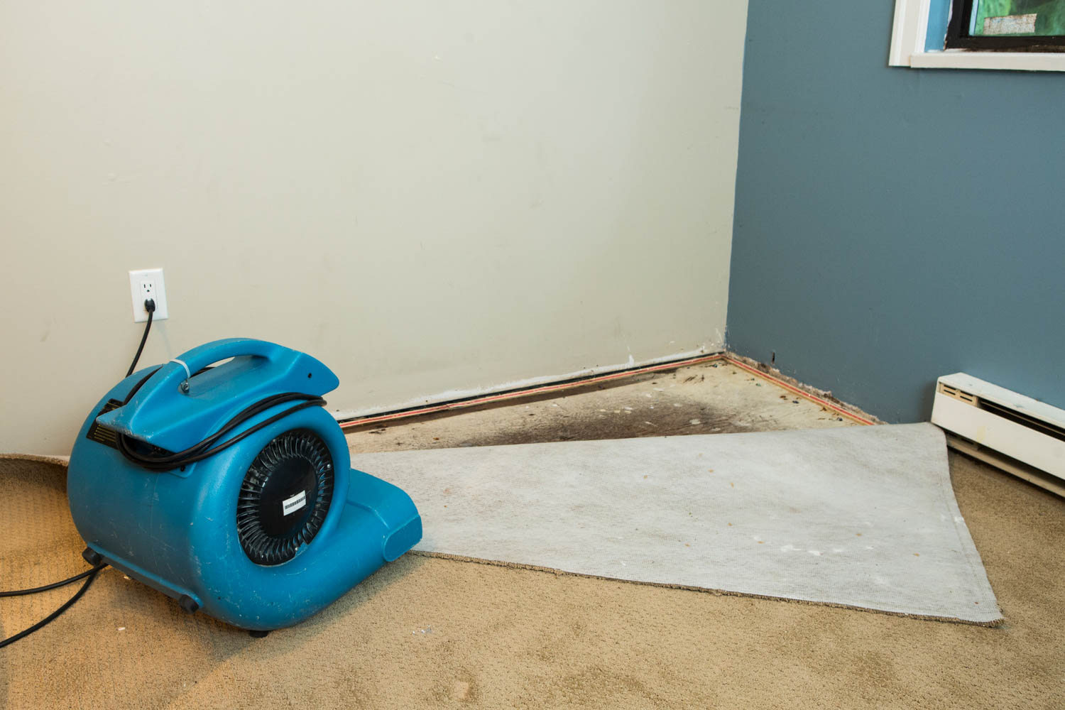 Carpet Water Damage Cleaning in Long Island