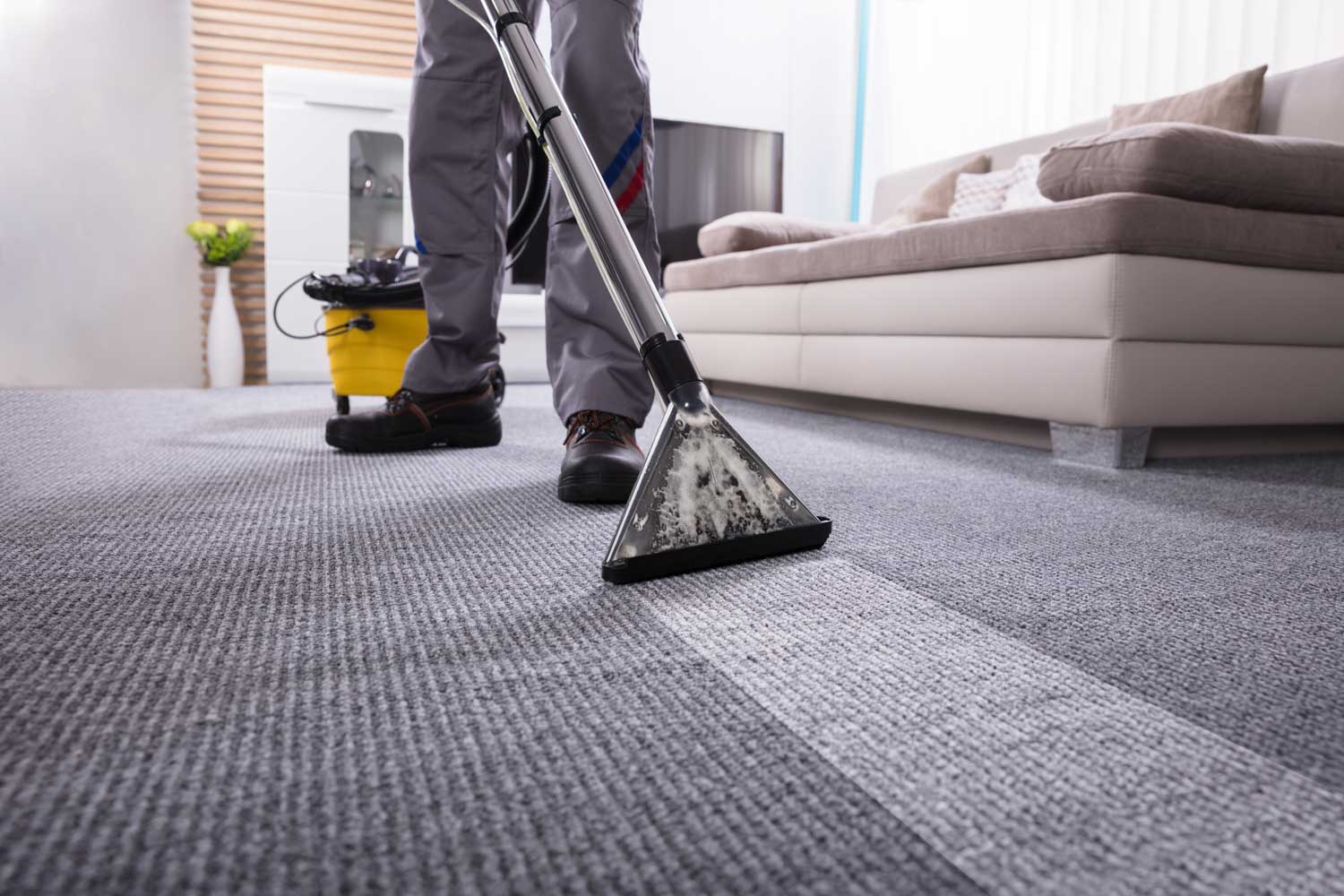 Technician Performing Water Damage Carpet Cleaning in Long Island