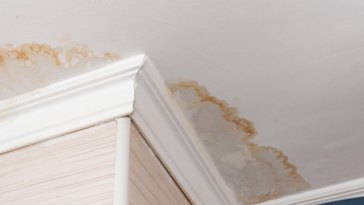 The Importance of Immediate Water Damage Response: What You Need to Know